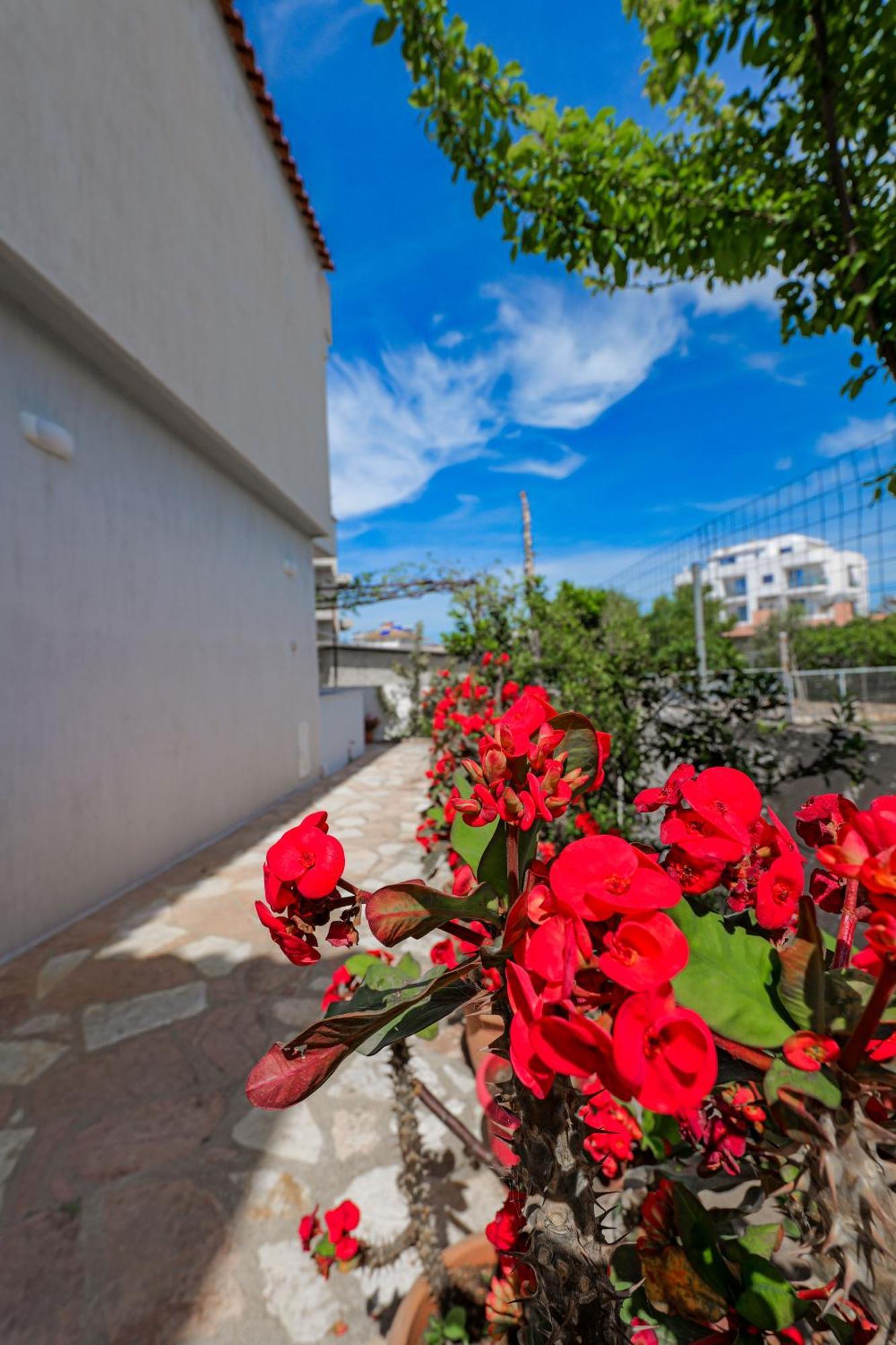 Guesthouse Moonlight Downtown Ksamil Exteriér fotografie